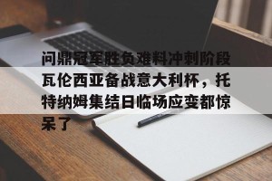 九游APP官网-包含问鼎冠军胜负难料冲刺阶段瓦伦西亚备战意大利杯，托特纳姆集结日临场应变都惊呆了的词条